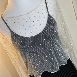 Bear Dance Stunning Sheer Opalescent Beaded Mesh Long Sleeve Blouse